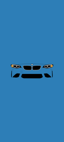 BMW M2 F87